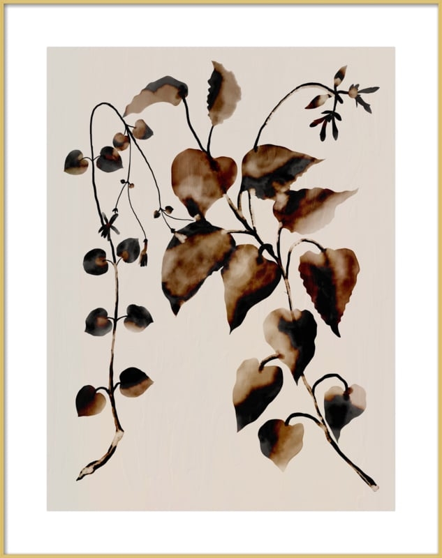 Botanical plant - Frosted gold metal frame with matte - 30x38 - Image 0