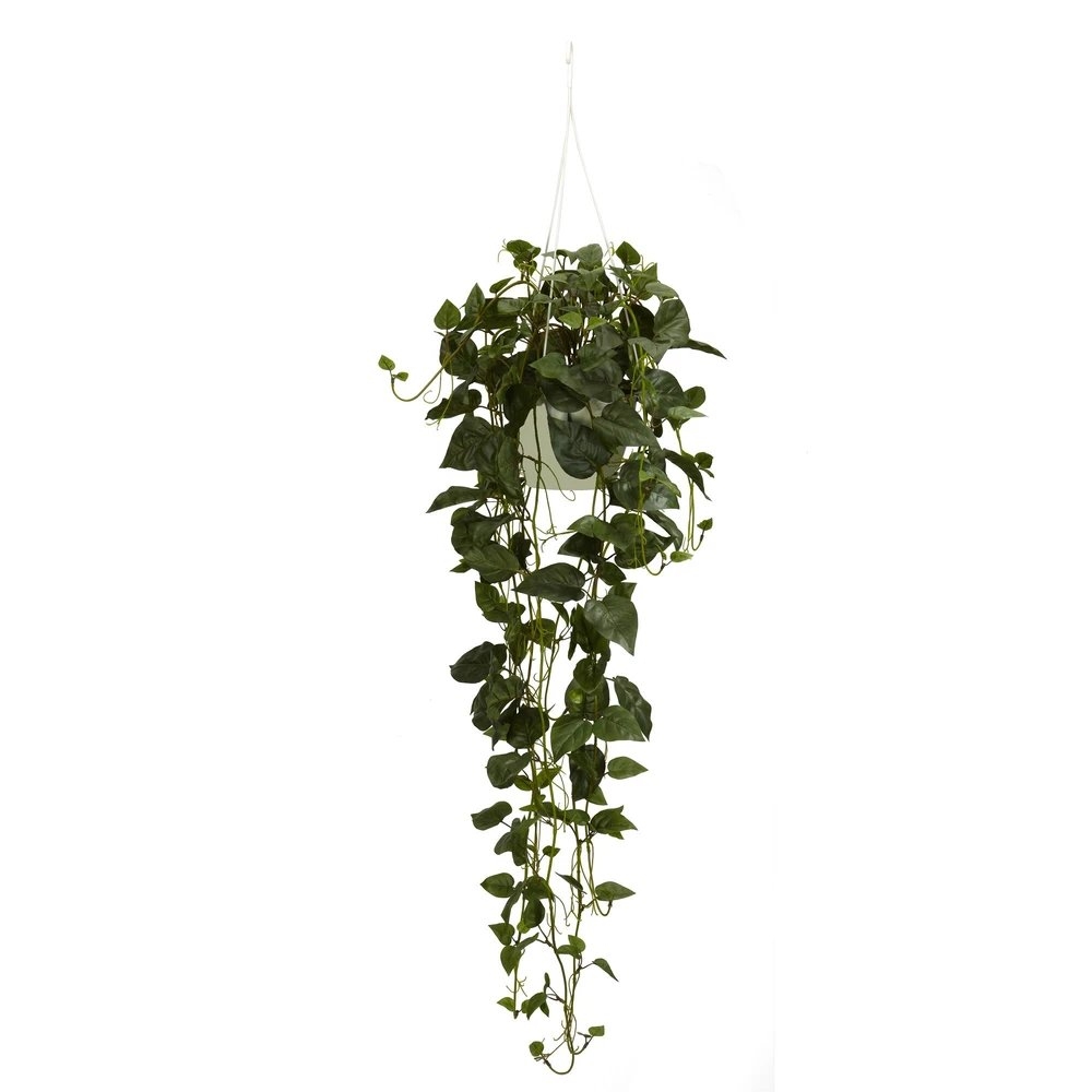 Philodendron Hanging Basket Silk Plant - Image 0