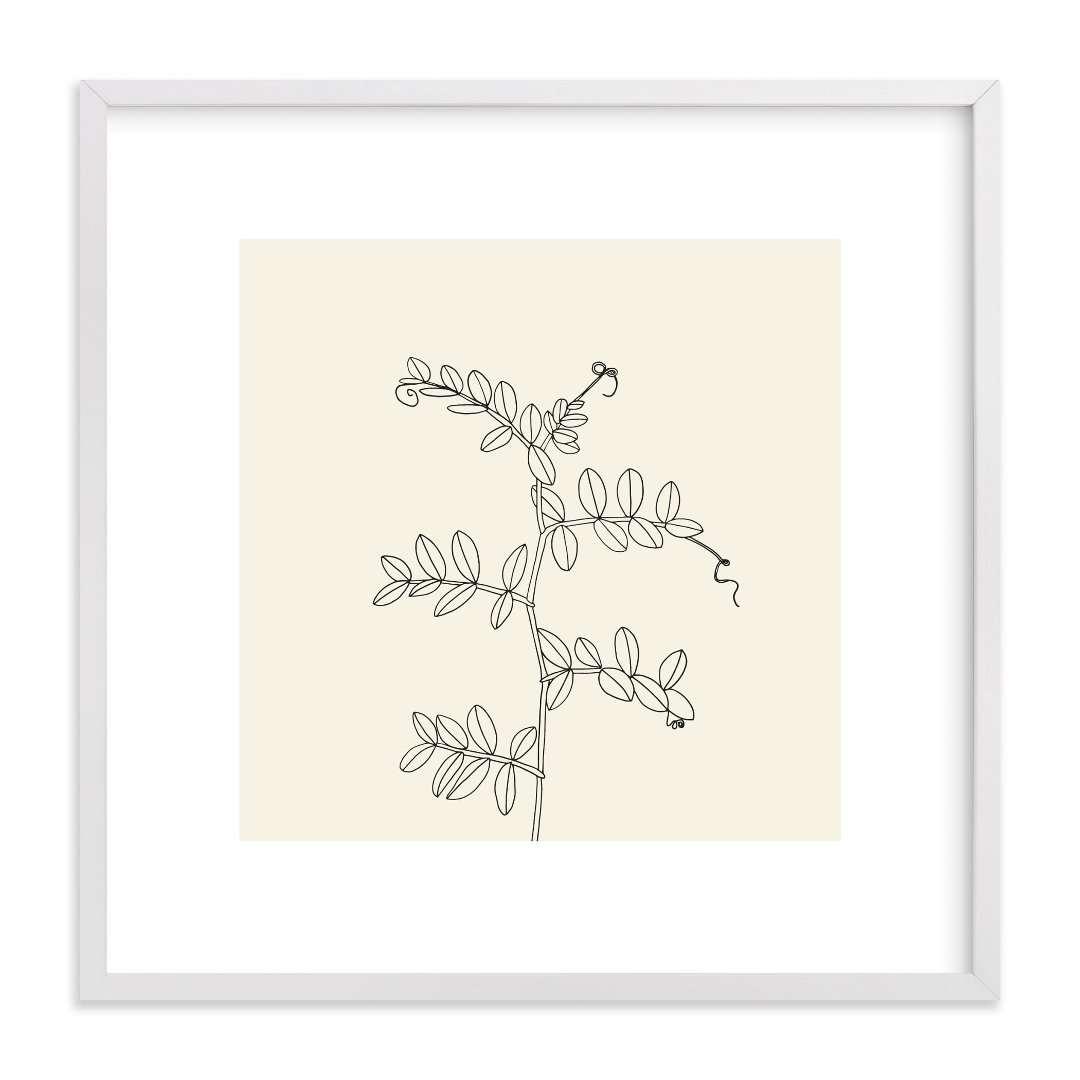 Wild Pea / White Wood Frame / 17.3" - Image 0