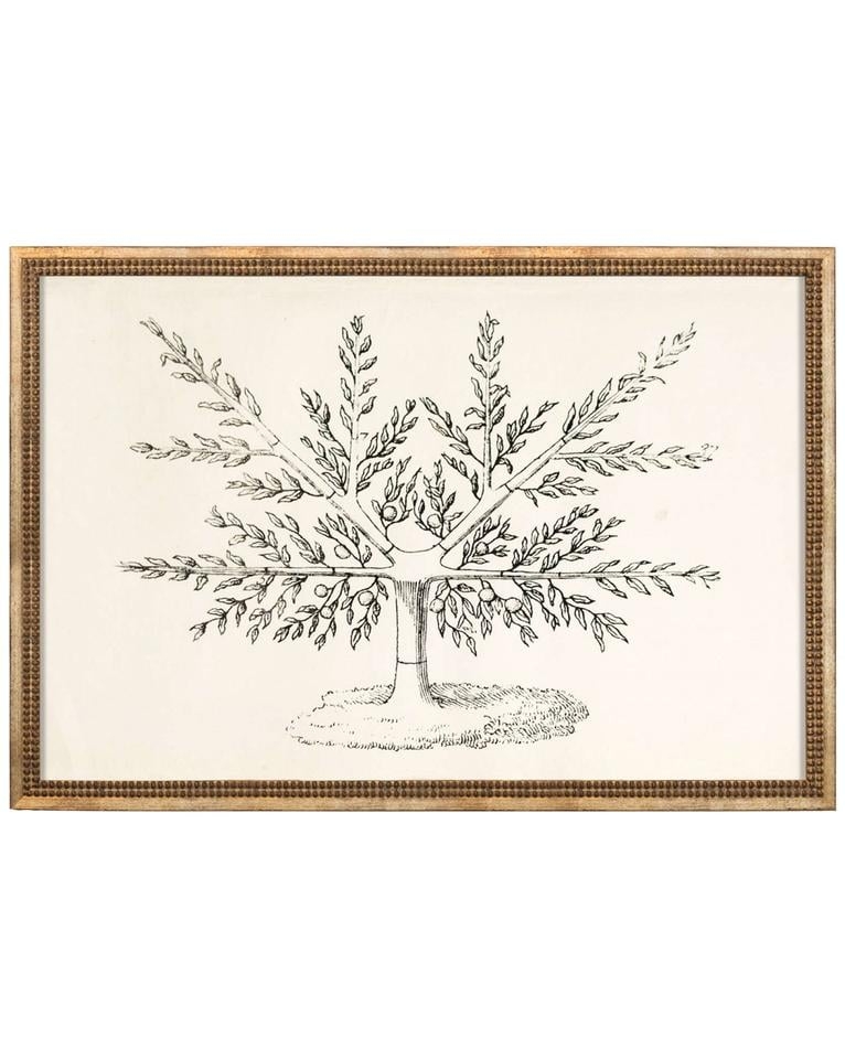 FRUIT TREE Unframed Art - Image 0