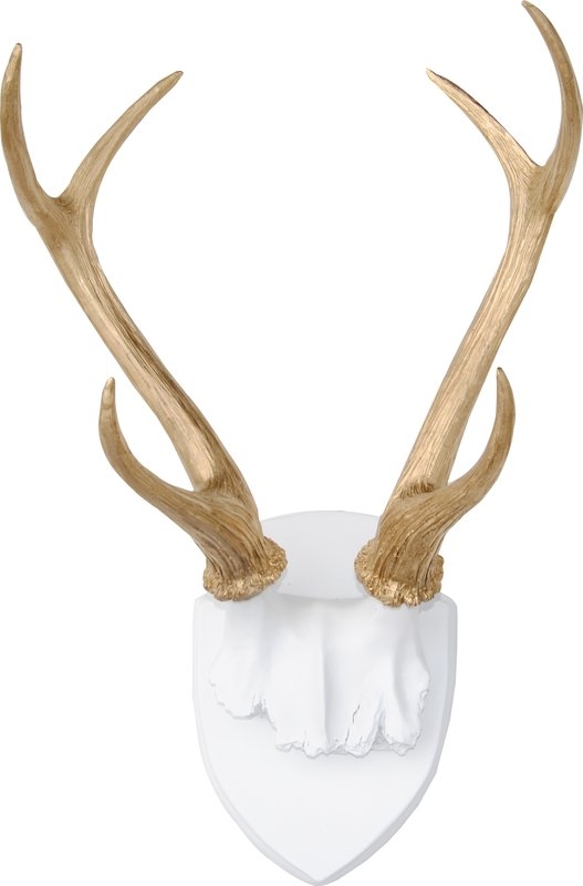 Large Faux Taxidermy Antler Rack Wall Décor - Image 0