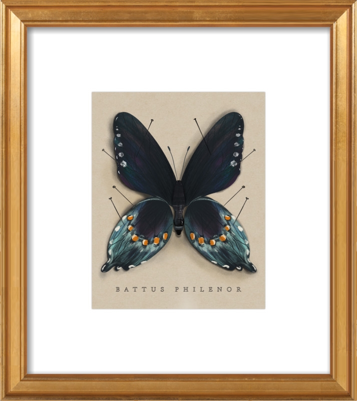 The Study of Butterflies No. 1 - Image 0