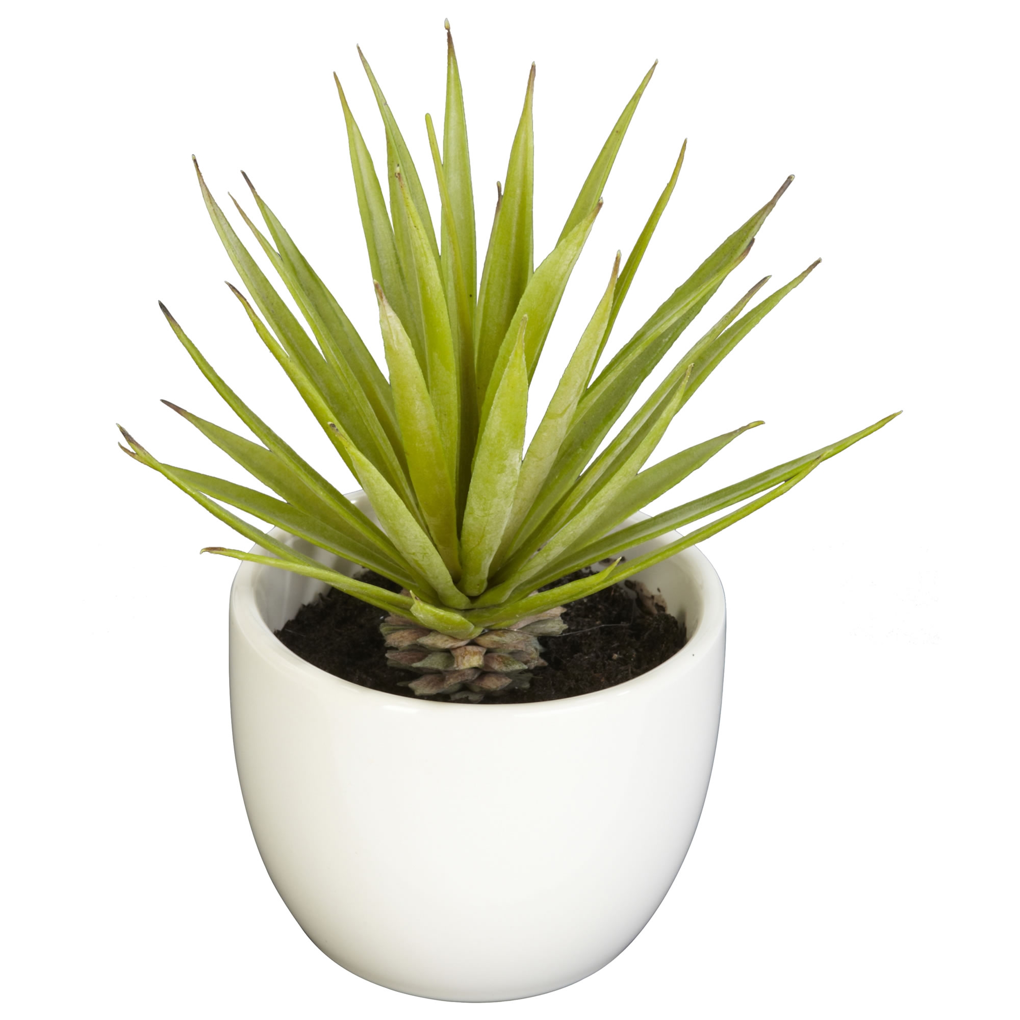 Faux Potted Succulent Collection, Set of 3 - Image 1