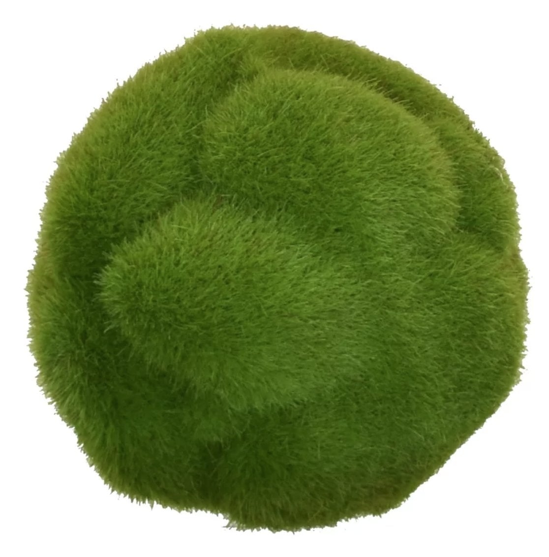 Mood Ball Faux Moss Plant (set of 6) - Image 0