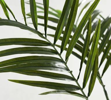 Palm Branch, Green, One - Image 1