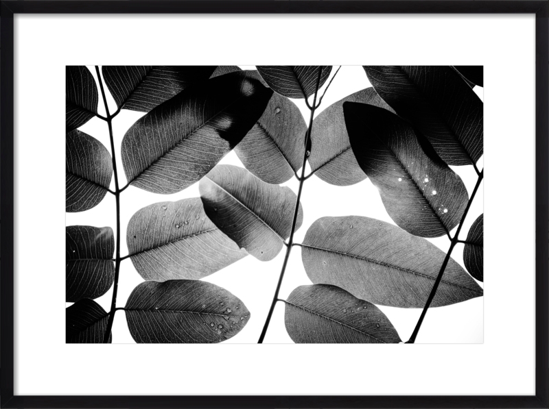 Experiments with Leaves, 2015, 1 - Image 0