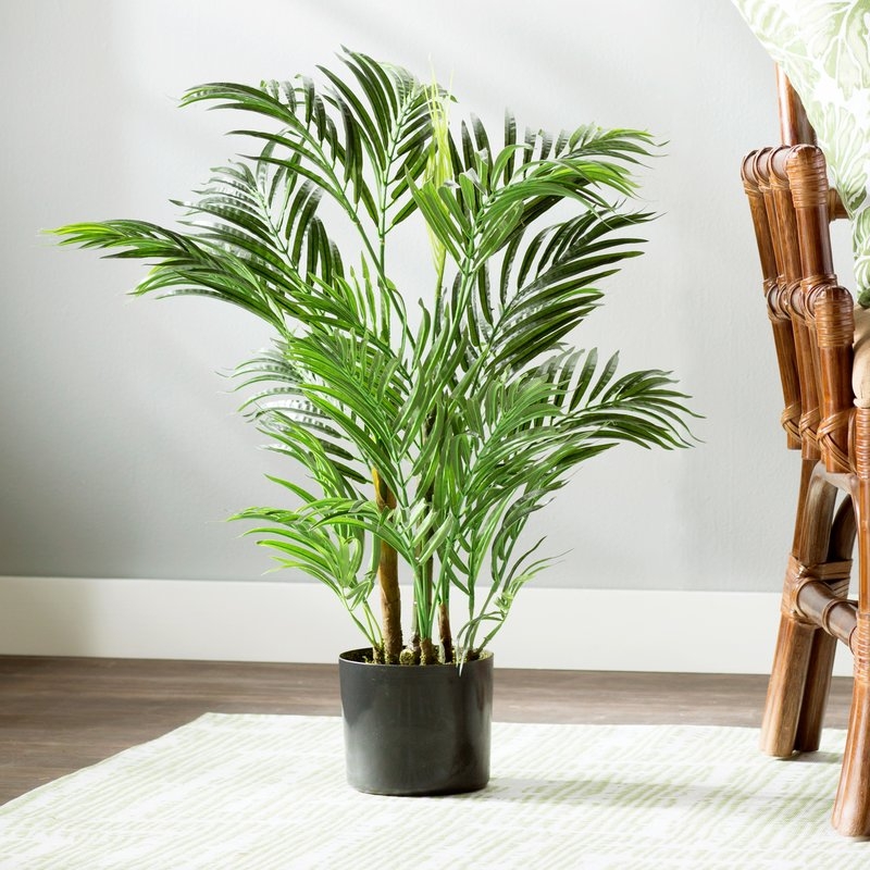 Areca Palm Tree Floor Plant in Pot - Image 4