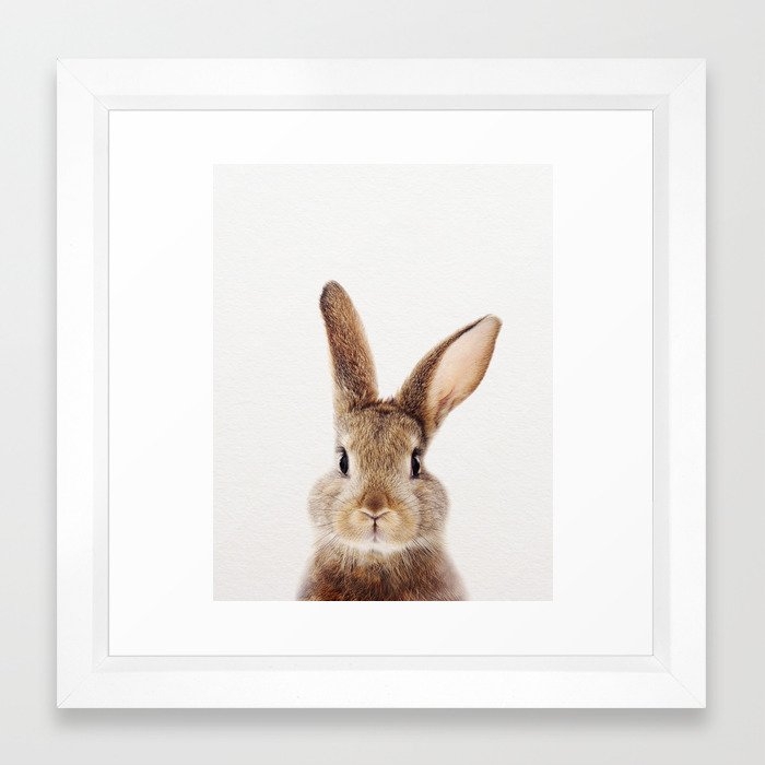 Baby Rabbit, Baby Animals Art Print By Synplus Framed Art Print - Image 0