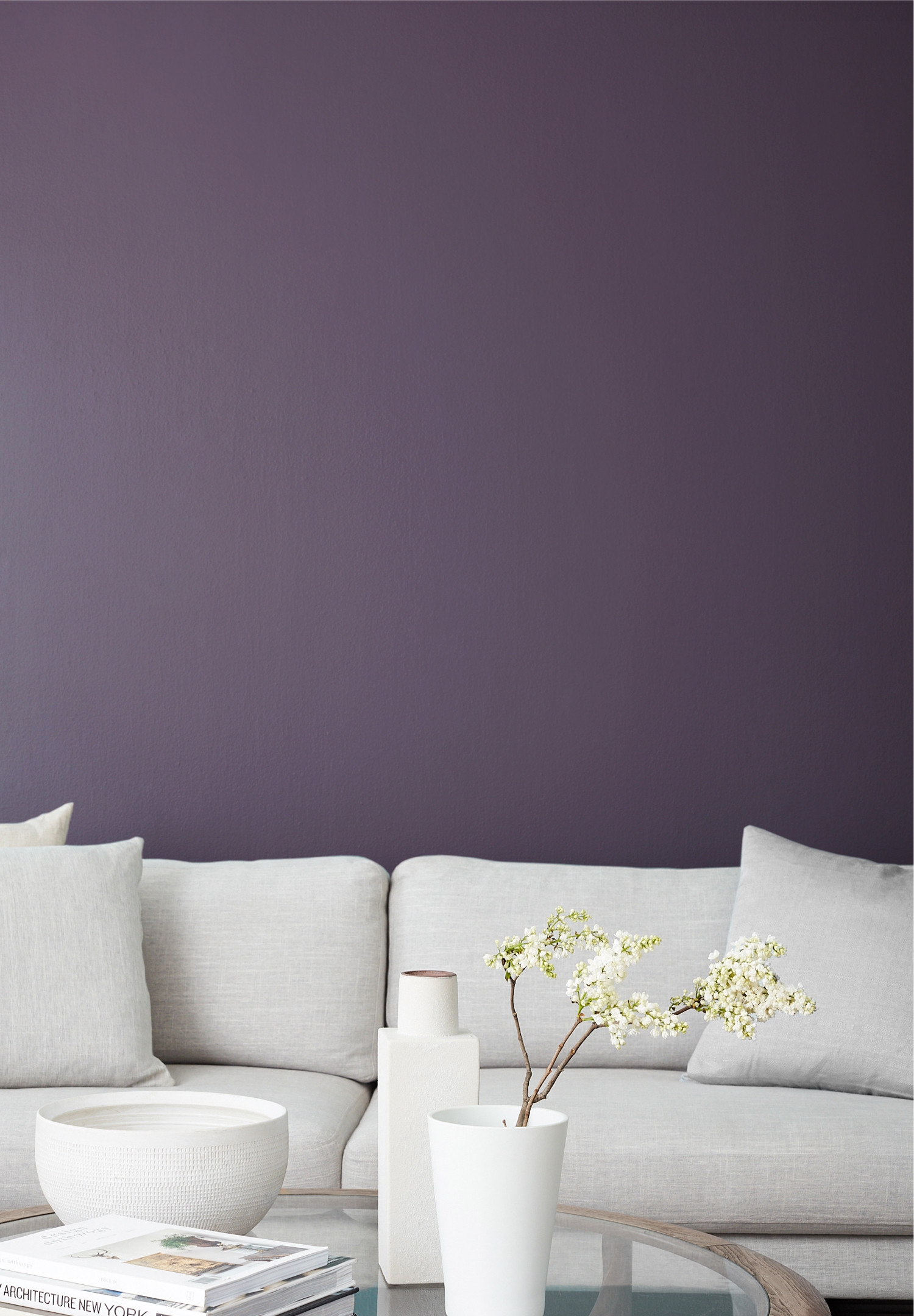 Clare Paint - Prince - Wall Swatch - Image 1