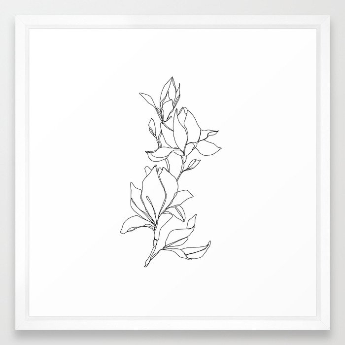 Botanical illustration line drawing - Magnolia Framed Art Print - Image 0