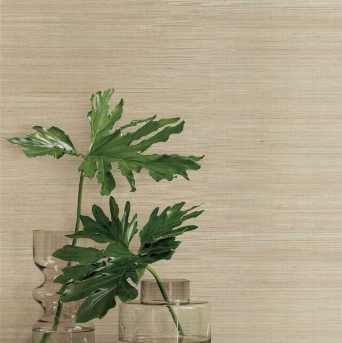 Plain Sisal Grasscloth Wallpaper - Image 0