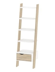Dowler Ladder Bookcase - Image 0