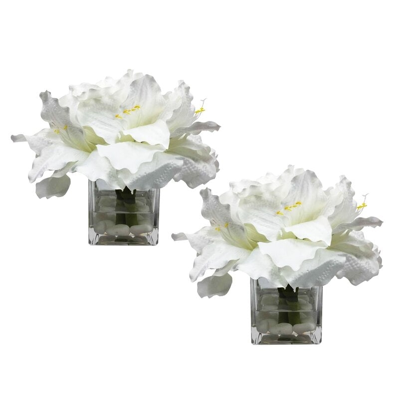 Amaryllis Cube Floral Arrangement in Vase (Set of 2) - Image 0