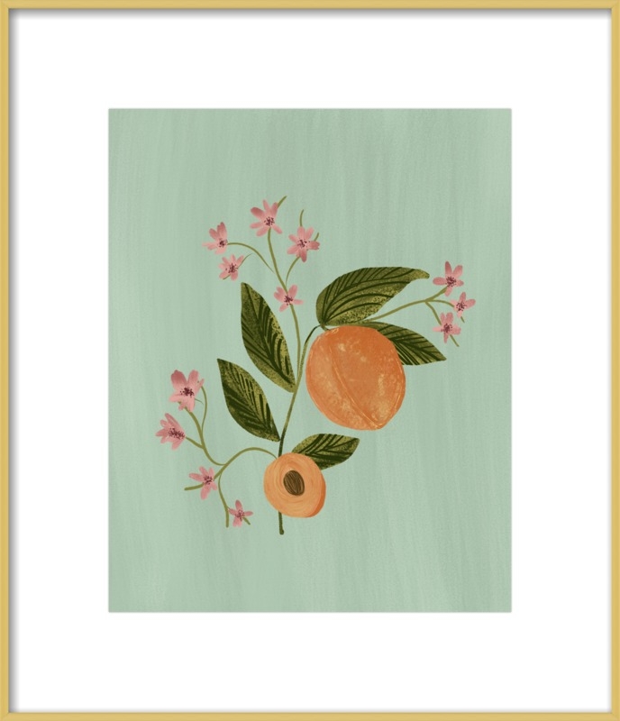 Peach Botanical Illustration - Image 0