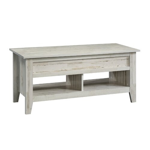 Riddleville Lift Top Coffee Table with Storage (white plank) - Image 0