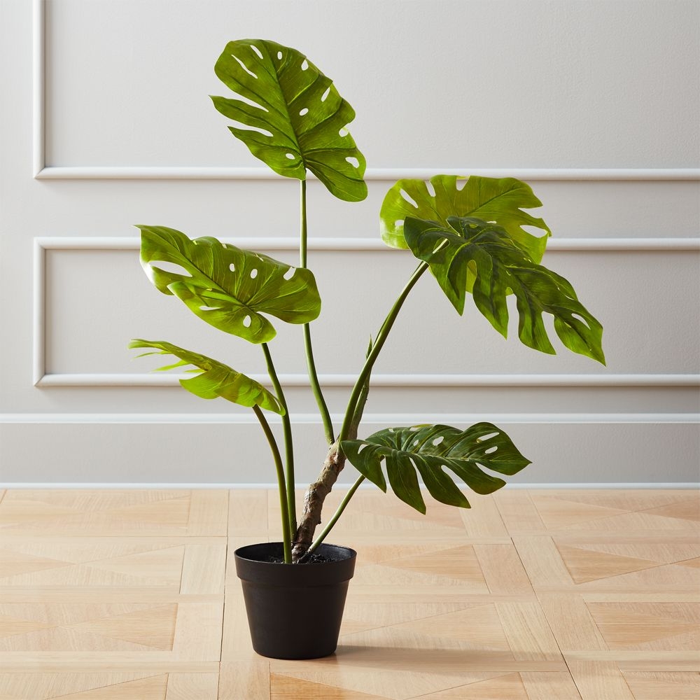 Faux Potted Monstera Plant - Image 1