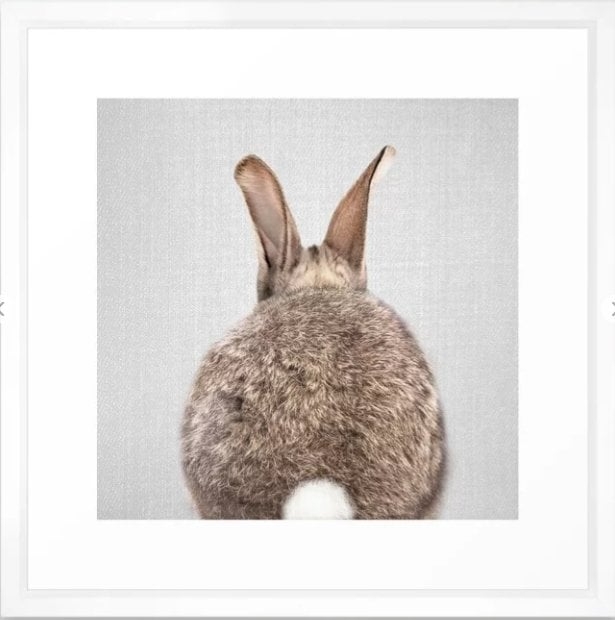 Rabbit Tail - Colorful Framed Art Print - Image 0