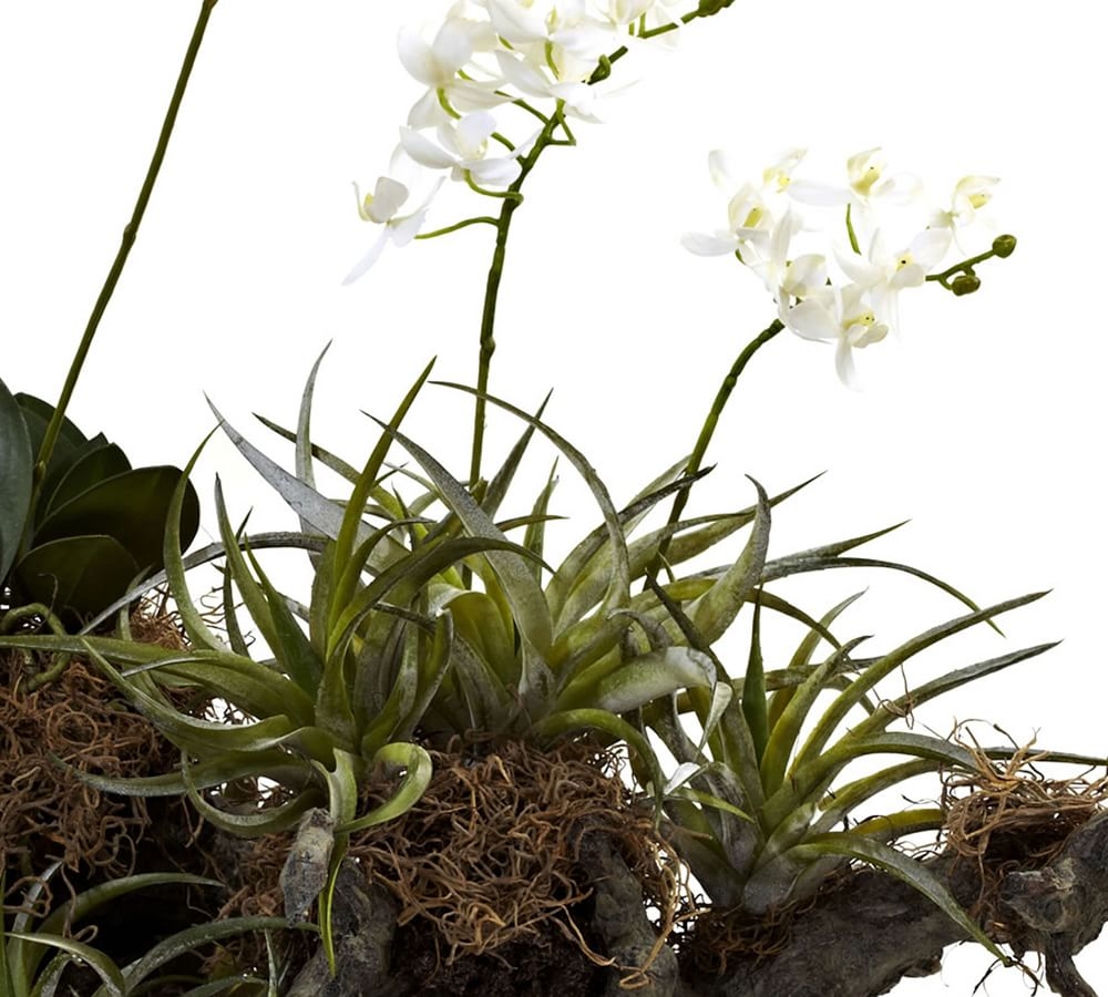 Faux Potted Orchid and Succulent Garden - Image 1