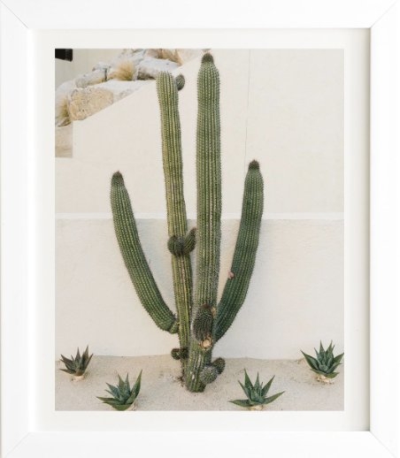 CABO CACTUS X White Framed Wall Art - Image 0