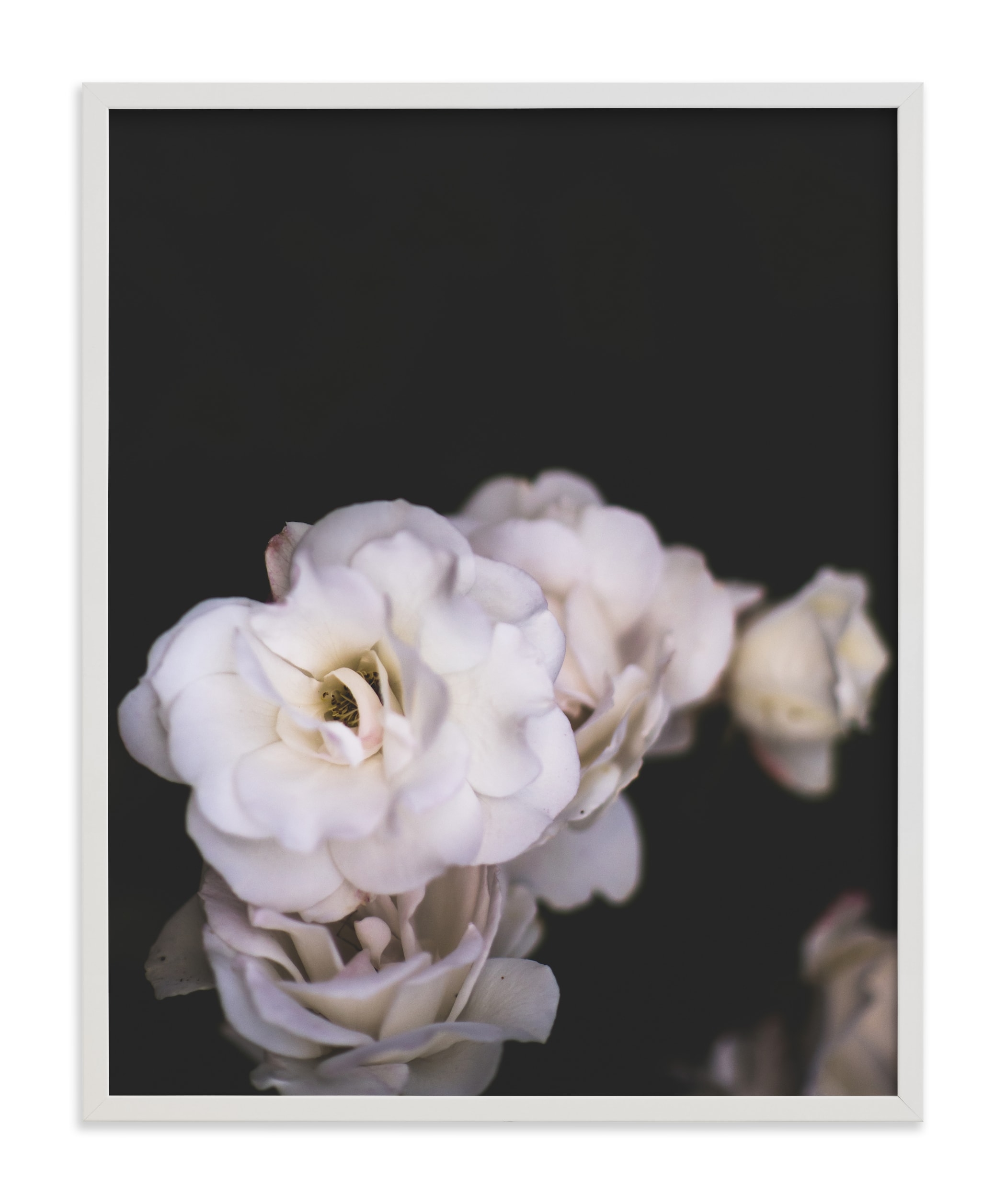 Midnight Bloom Art Print - Image 0