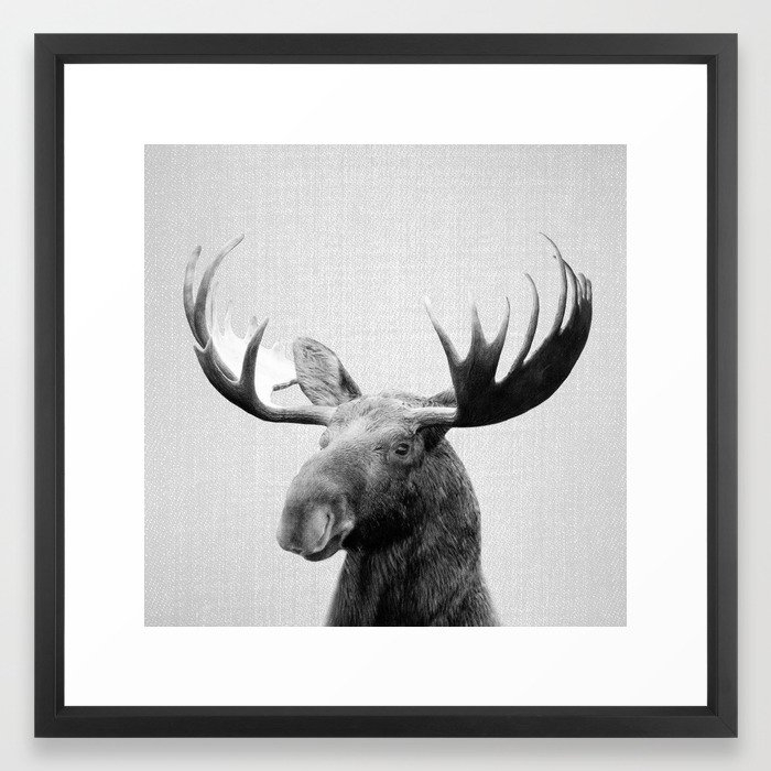 Moose - Black & White Framed Art Print (Medium (gallery) - 22" X 22") - Image 0
