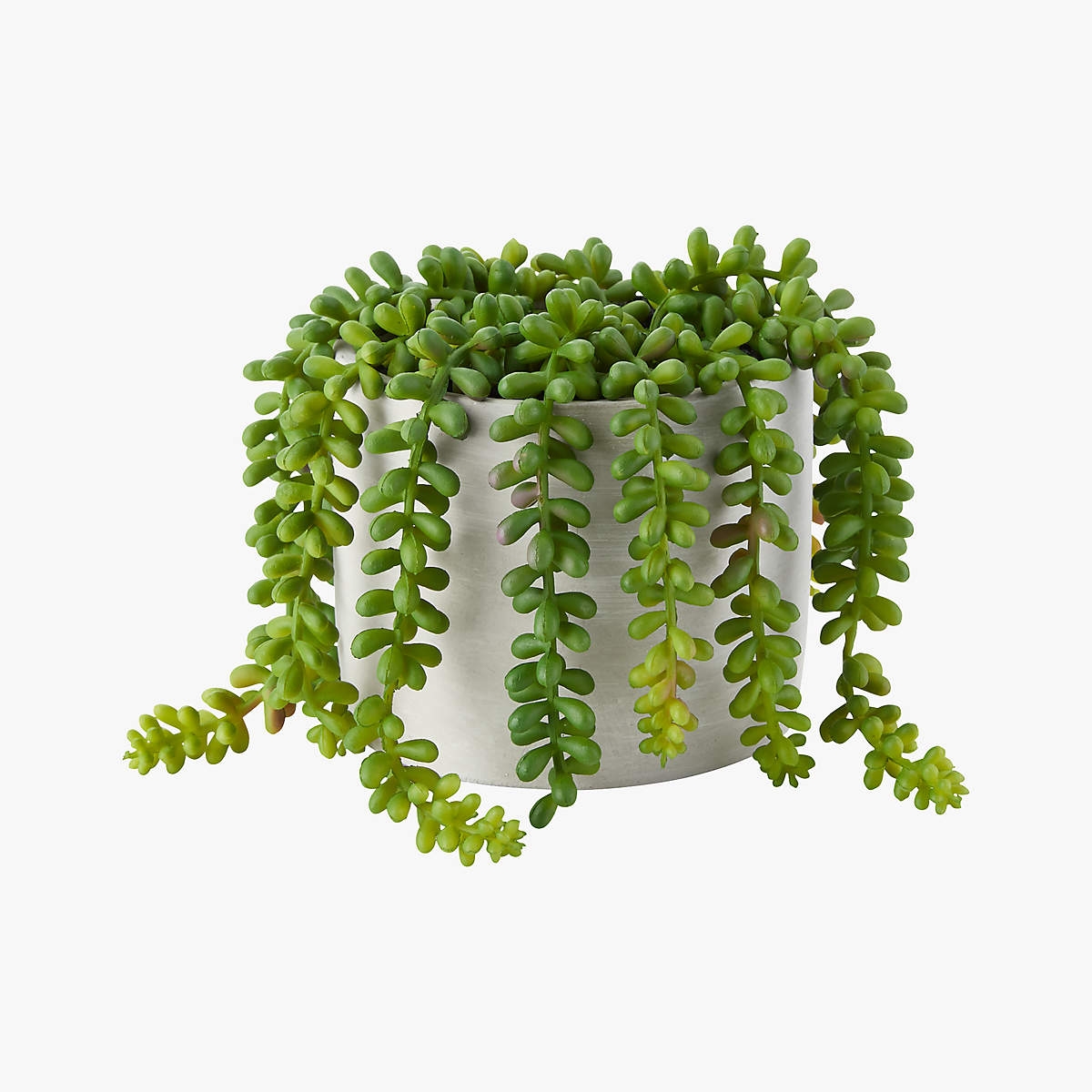 Faux Potted Burro's Tail - Image 0