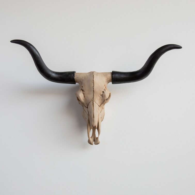 Texas Longhorn Skull Wall Décor - Image 0