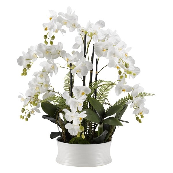 Orchids Floral Arrangement in Ceramic Dish - Image 0