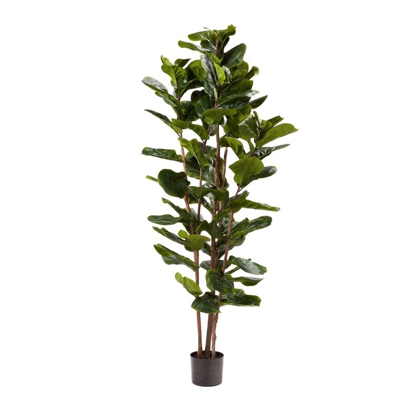 Ficus Life 72'' Faux Fiddle Leaf Fig Tree in Pot - Image 0