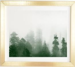 GOLD FRAMED WALL ART GREEN FOREST ADVENTURE  BY NATURE MAGICK - Image 0