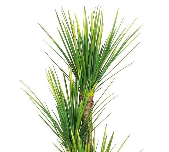 Faux Potted Yucca Tree - Image 1