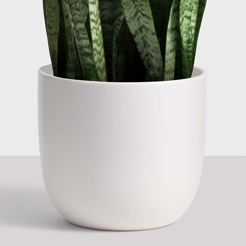 Contour Pot Planter - Image 0