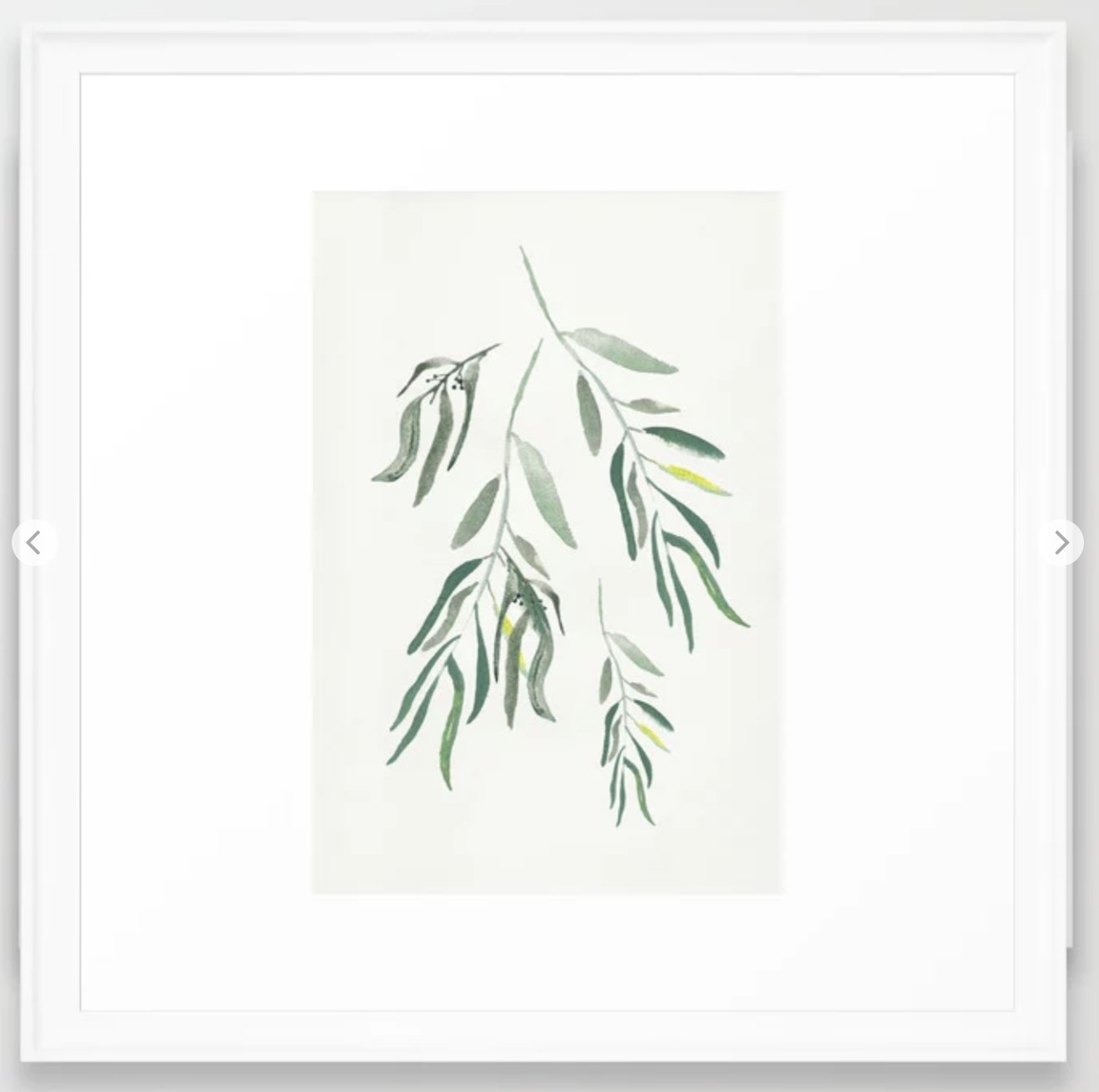 Eucalyptus Branches II Framed Art Print - 22"X22" - Image 0