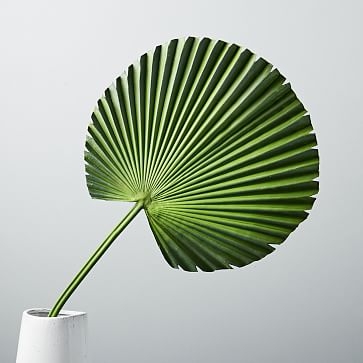 Faux Botanicals, Fan Palm - Image 0