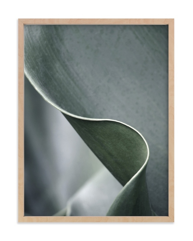 Botanic 3-Mossy Green-18" x 24" - Image 0