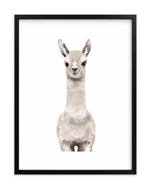 baby animal llama - 18 x 24 - rich black wood frame - standard - white border - Image 0