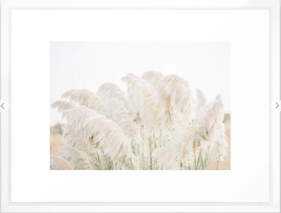 Natural Pampas Grass Framed Art Print, Vector White, 12" x 10" - Image 0