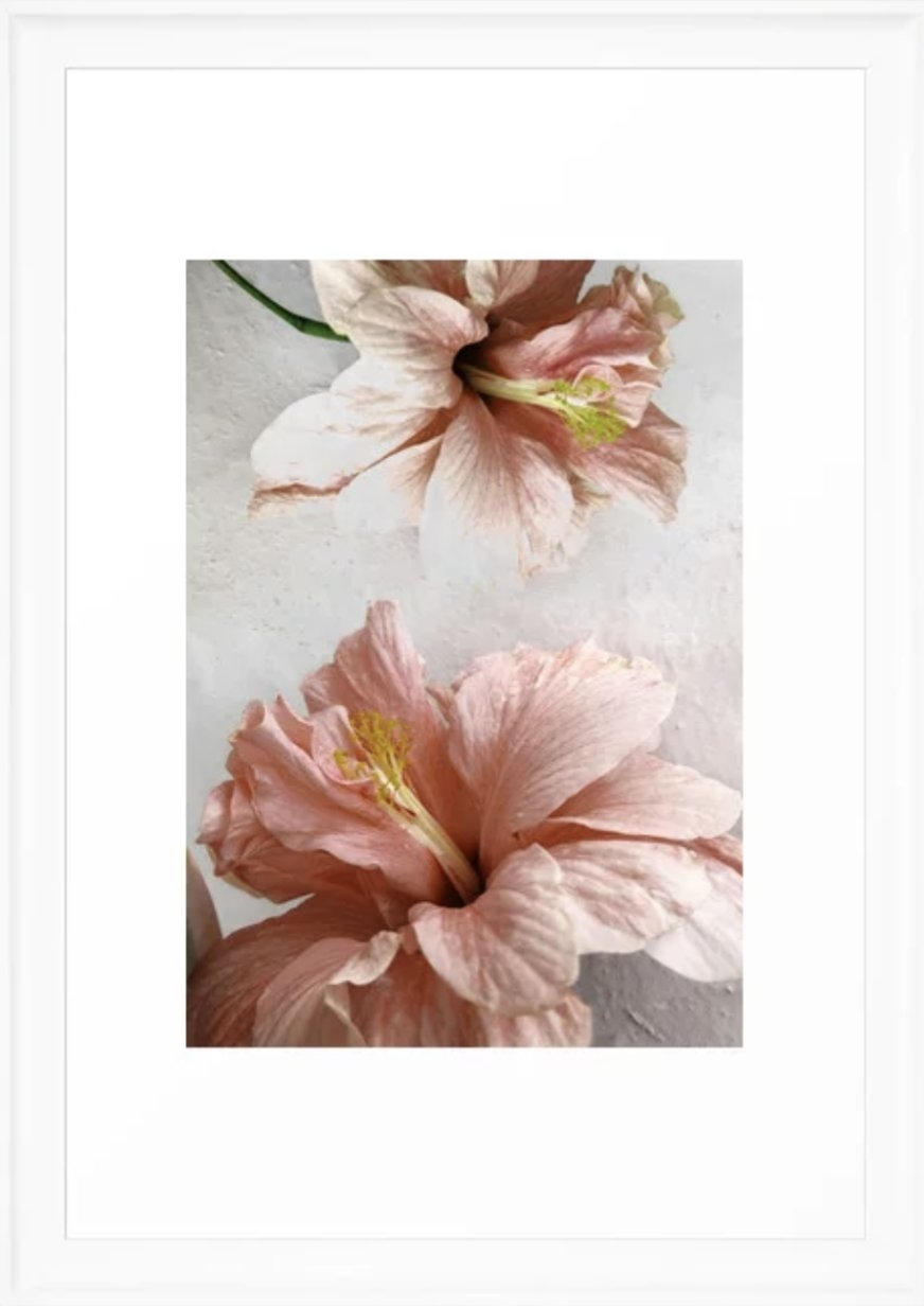 Blossom, Pink Flowers Framed Art Print - Image 0
