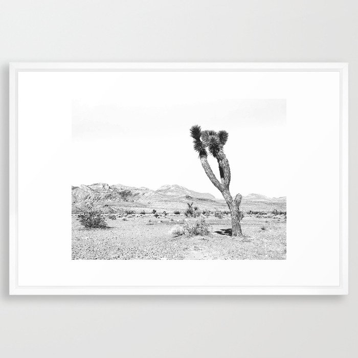 Vintage Desert Scape B&W // Cactus Nature Summer Sun Landscape Black and White Photography Framed Art Print - Image 0