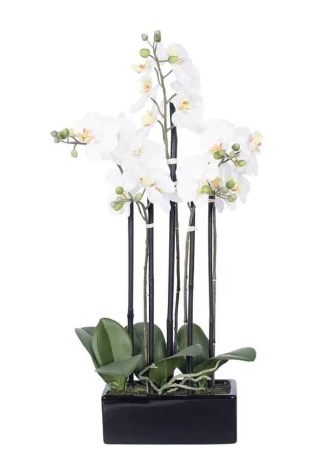 Potted Orchid Floral Arrangement in Planter - Image 0