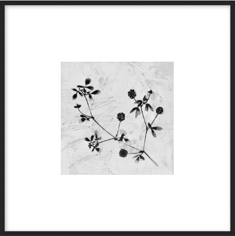 Field Flower 6"x6", 8" x 8" final framed size, black metal frame; with matte - Image 0