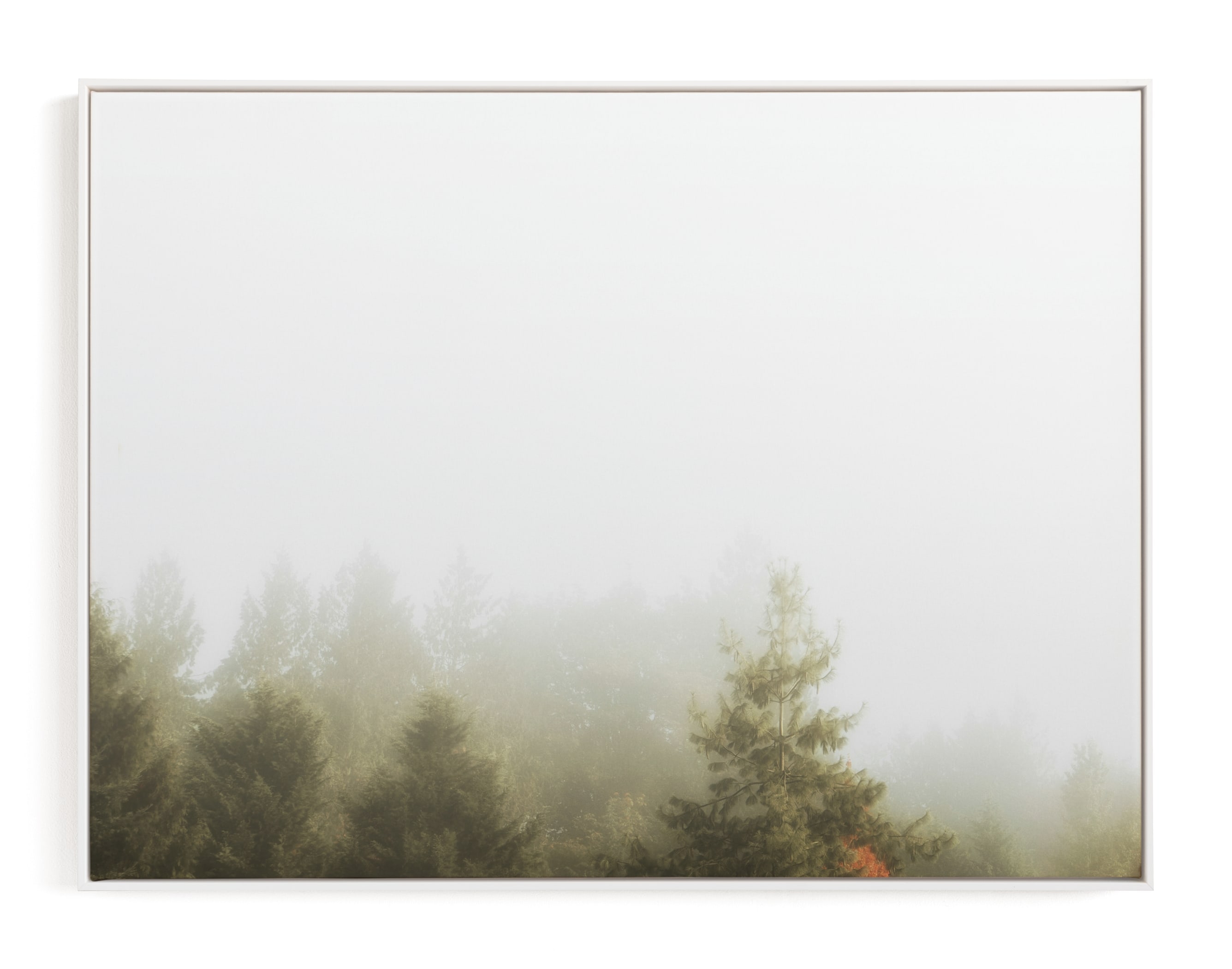 Foggy Autumn Forest Morning Limited Edition Art Print - Image 0