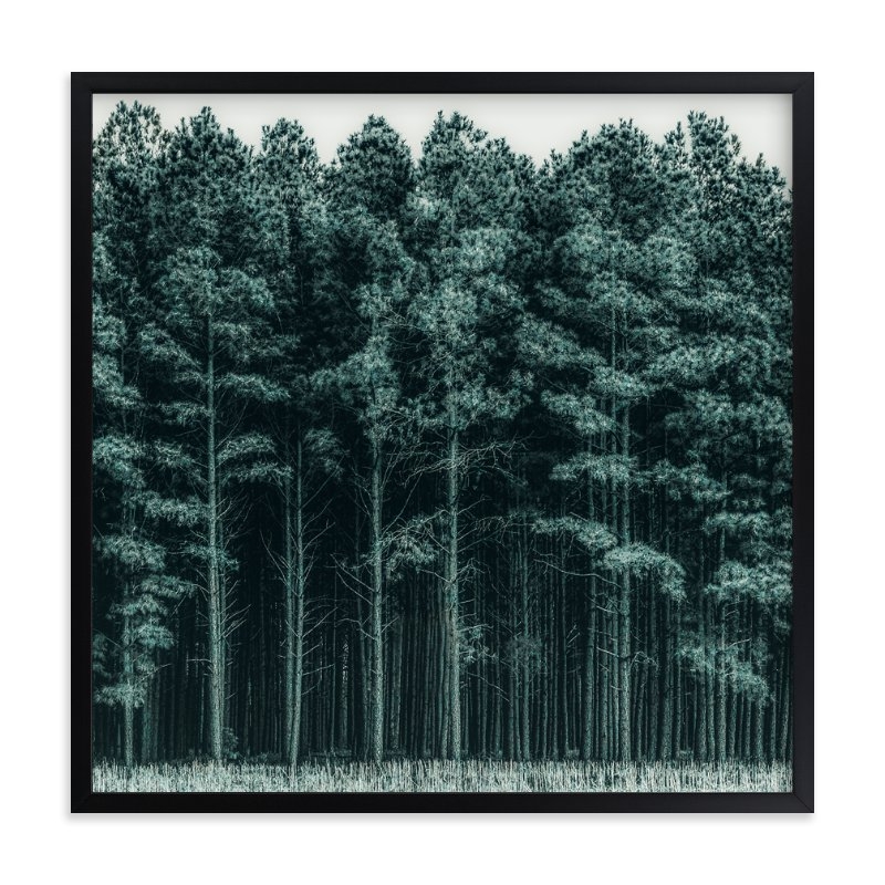 through the trees - Image 0