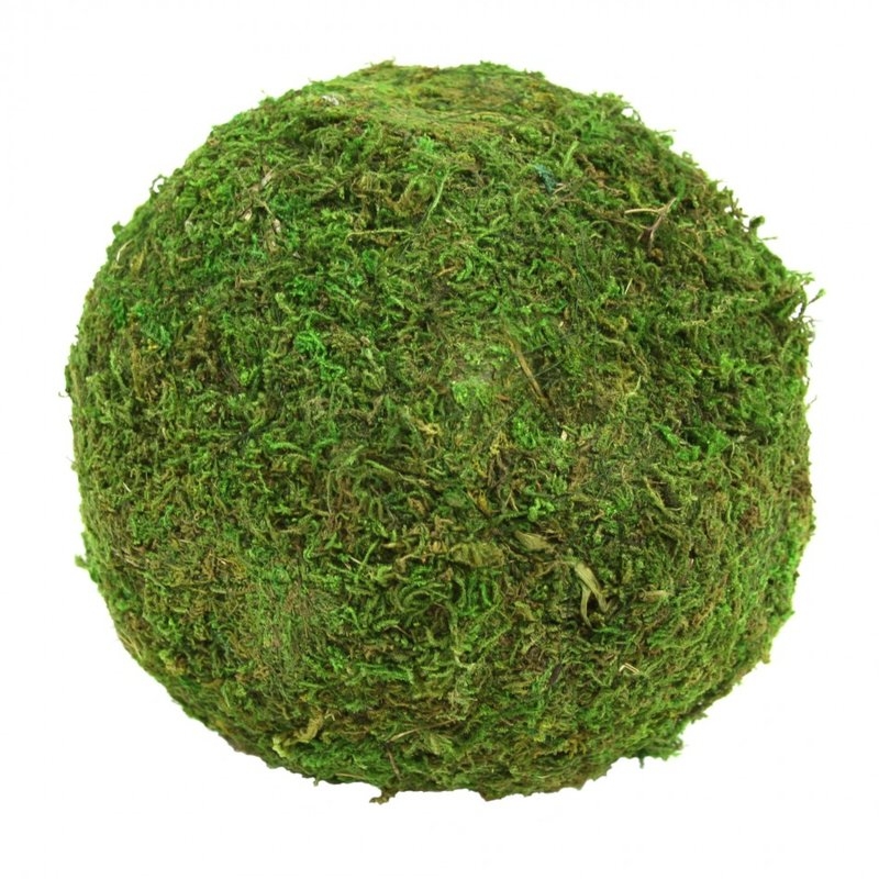 Stacey Decorative Moss Ball Sculpture - Set of 6 - Image 0