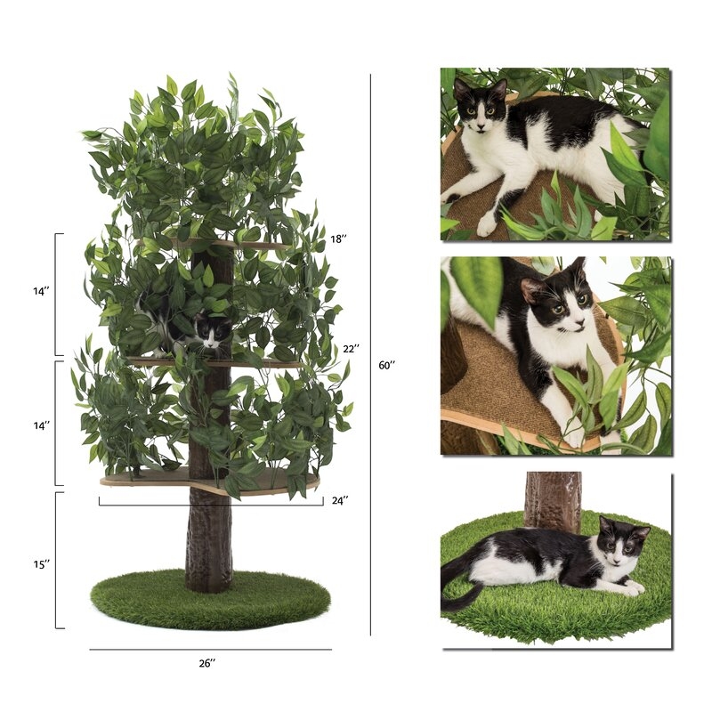 60" Henrietta Cat Tree Green/Brown - Image 7