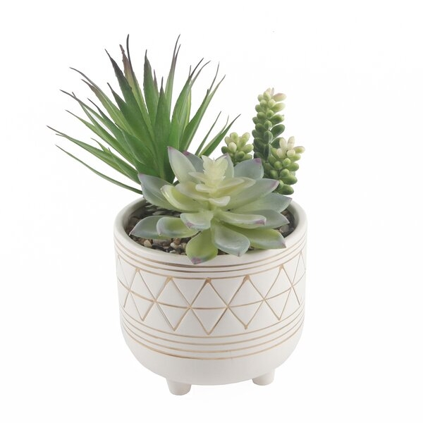 Gold Geo Hand Painted Legs Succulent Plant in Pot - Image 0
