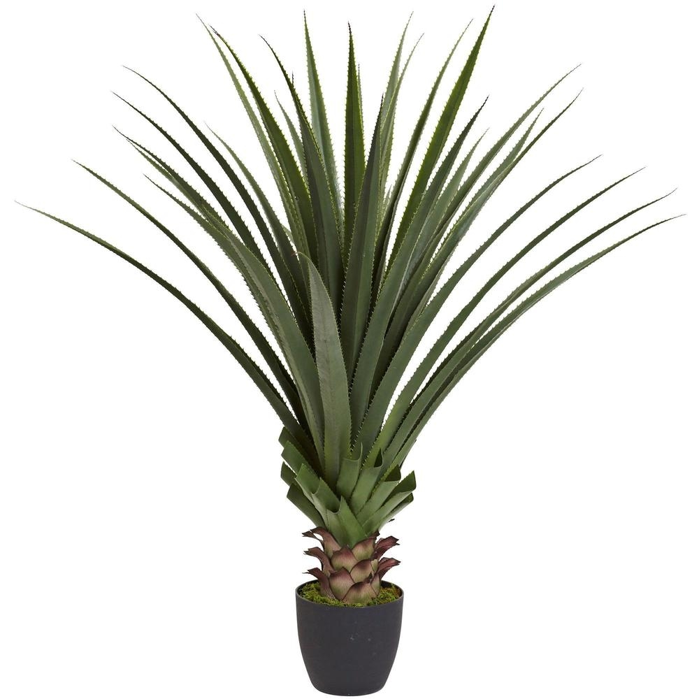 4’ Spiked Agave Plant - Image 0