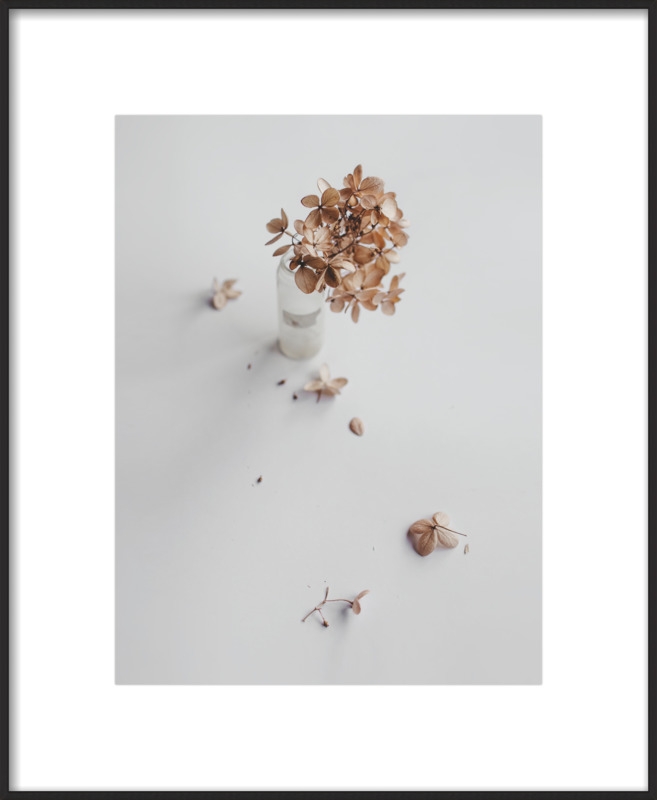 Dried Flower  BY HILDE MORK - Image 0