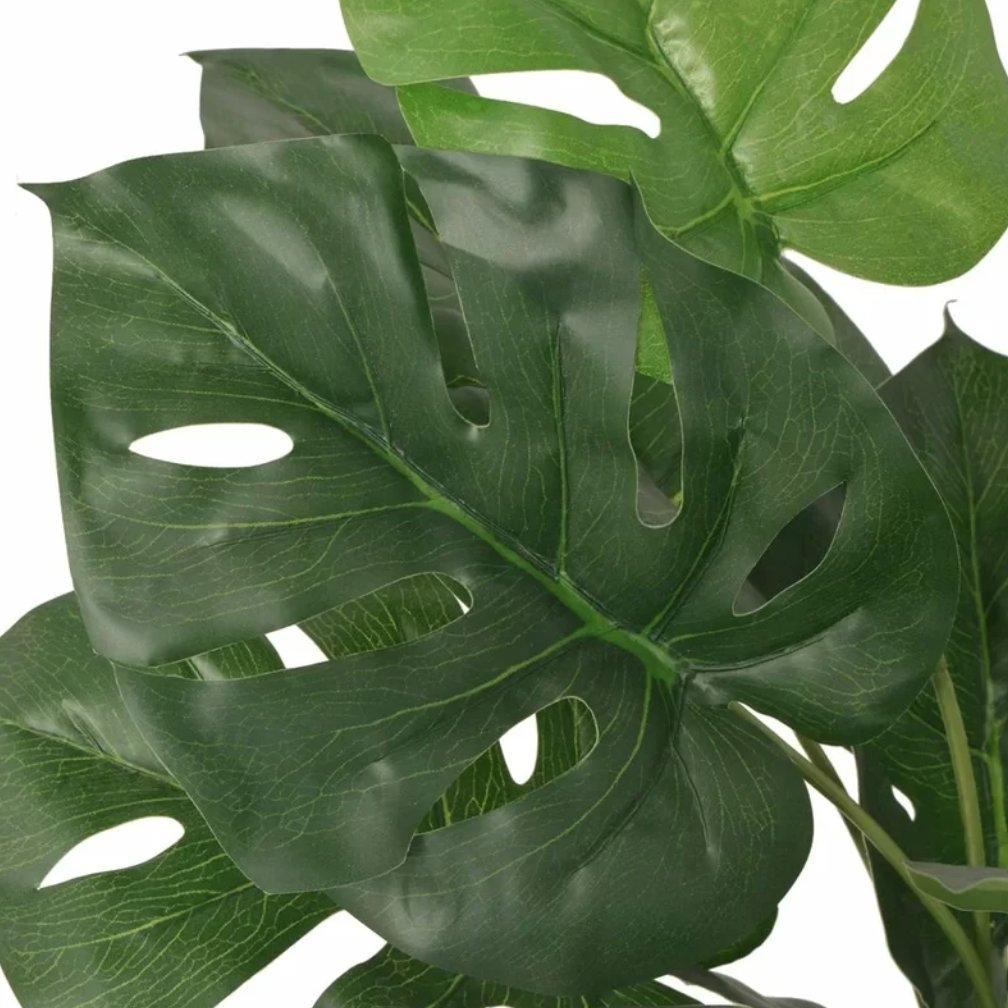 Monstera Foliage Plant in Pot - Image 1