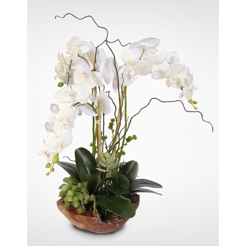 Orchids Floral Arrangement in Vase - Image 2